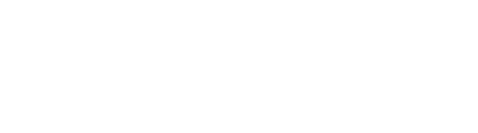 Seal AI